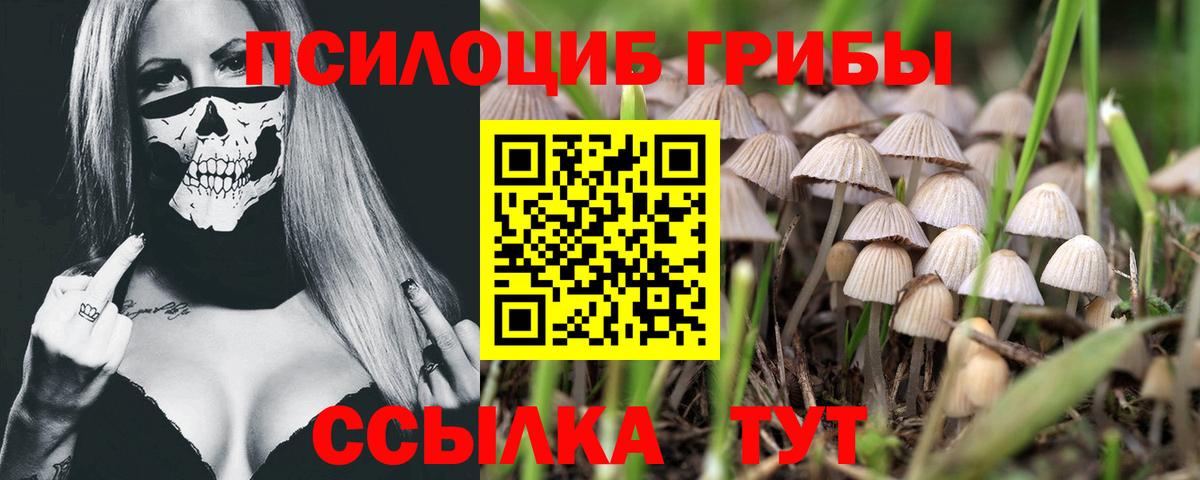 Галлюциногенные грибы GOLDEN TEACHER Дзержинский